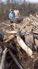 Two people with shovel near wood pile in brushy area