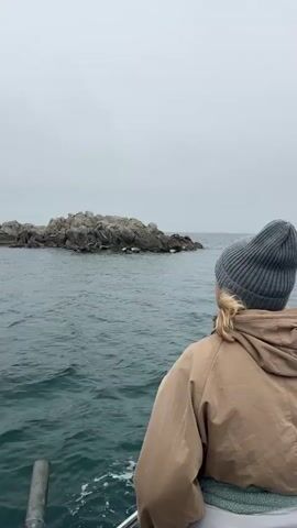 From a boat on a body of water, a person wearing a tan jacket and grey beanie is looking toward a rocky island on which several seals are lying. The sky is grey, with the light quality of a heavily overcast day.