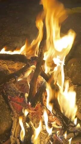 A crackling bonfire is captured in a close-up, vertical shot. Bright orange and yellow flames dance high, consuming logs and branches, while the burning embers at the base glow a vibrant red and orange. The surrounding area is dark, highlighting the intensity of the fire.