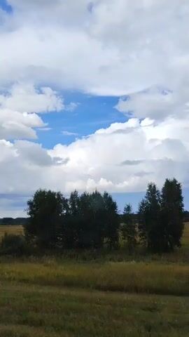 The video is a horizontal shot from a moving vehicle. It captures a rural landscape with a wide expanse of green fields under a cloudy sky. The clouds are large and white, interspersed with patches of blue sky. In the middle ground, there is a line of dark green trees and bushes, some of which appear to be birch trees. A small orange marker is visible in the field near the trees. The foreground shows green grass and a dirt or gravel path. The overall impression is of a serene, natural environment on a partly cloudy day.
