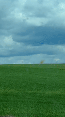Dust devil spotted across green field, captured on video