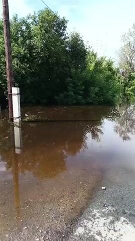 The video shows a flooded road with trees and some structures on the sides. The water is murky brown and covers a significant portion of the road. Reflections of the trees and sky are visible in the water. Several objects are partially submerged in the water, including what appears to be a blue and yellow structure and a metal fence. The sky is cloudy with patches of blue. There are no people visible in the video. The overall environment appears to be rural or semi-rural.