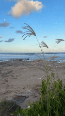 Morning coastal scenes captured along Illawarra beaches near Sydney