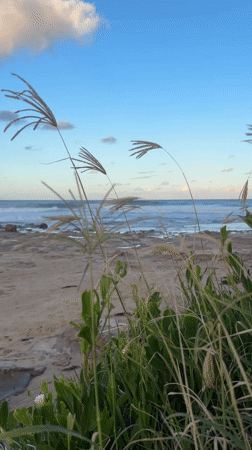 Morning coastal scenes captured along Illawarra beaches near Sydney