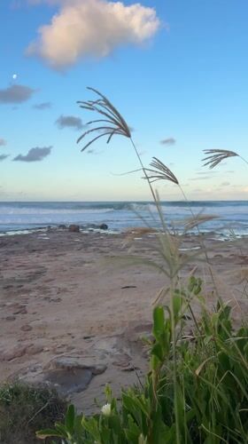 Morning coastal scenes captured along Illawarra beaches near Sydney