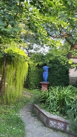 A blue statue of a torso stands on a pedestal in a garden. The statue is in front of a tall, manicured hedge. To the left of the statue, a weeping plant hangs down from a tree. A stone path leads through the garden. The ground is covered with grass and small white flowers. The video is filmed from a low angle, looking up towards the statue and trees.