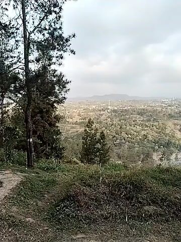 The video shows a wide shot of a hilly landscape with a cloudy sky. In the foreground, there is dense vegetation, including grass and shrubs, with a tall tree on the left. In the middle ground, there is a valley filled with trees and some structures, possibly houses or buildings. In the background, there are more hills and the horizon is obscured by haze. Towards the right side of the frame in the middle ground, there are four people sitting on a bench. Two of them are clearly visible, and the other two are partially visible. There is a small table with a cup on it in front of the people. The camera pans slightly to the right, revealing more of the landscape and the people. The overall impression is of a natural, slightly overcast view from a high vantage point.