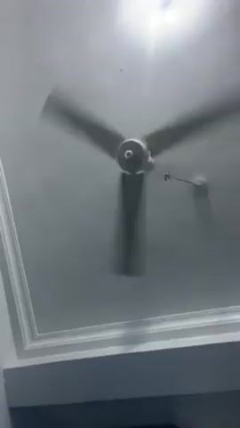 The video shows a ceiling fan with three blades spinning rapidly against a white ceiling. The ceiling has decorative molding. A bright light source is visible above the fan. The camera angle is from below, looking up at the fan. At the bottom of the frame, glimpses of a dark surface and a white wall are visible.