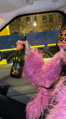 Woman spotted in car with champagne, pink coat at night