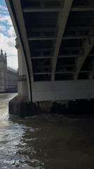 Cruising the Thames past London's iconic South Bank landmarks