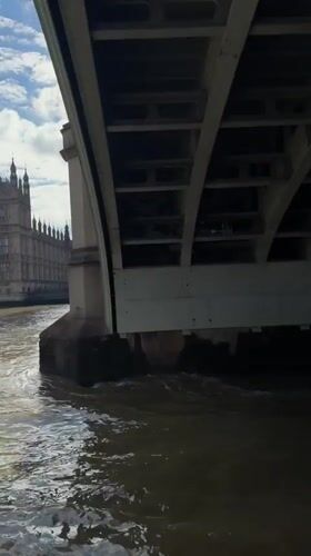 Cruising the Thames past London's iconic South Bank landmarks