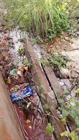 The video shows a close-up view of a dirty, reddish-brown liquid in a concrete channel or ditch. Debris, including plastic bags, wrappers, and other trash, is floating in the liquid. A piece of weathered wood lies across the channel, and green vines and vegetation are growing around it and along the edges of the ditch. The overall scene suggests an unmaintained and possibly polluted area.