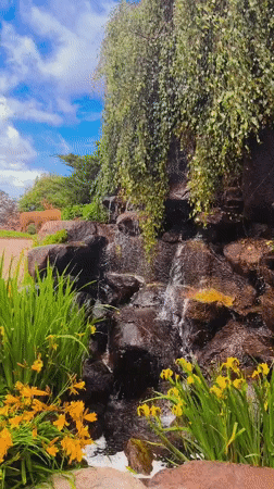 Morning visit to Riga park features rabbits, dining, fountains