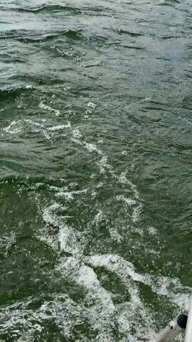 A close-up, high-angle shot shows a turbulent, dark green body of water, likely a river or lake, from the perspective of a moving boat. White foam and bubbles churn on the surface, indicating motion and disturbance. The water appears murky, and the surface is rippled and choppy. The overall impression is one of movement and natural force.