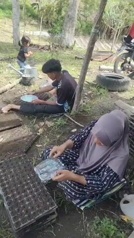 The video shows a group of people preparing seedlings in an outdoor setting. In the foreground, a person wearing a hijab is seated, tending to a tray of seedlings. Next to them, another person is sitting and working with a smaller tray, possibly planting seeds. A young child is visible in the background, holding a watering can and appearing to water a plant. To the left, a person in a green shirt is standing. The environment is a grassy, somewhat hilly area with trees in the background. Several stacks of seedling trays are laid out on the ground, some filled with soil and others being worked on. A motorcycle is parked nearby. The overall activity seems to be related to gardening or agriculture, with a focus on the initial stages of growing plants from seeds.