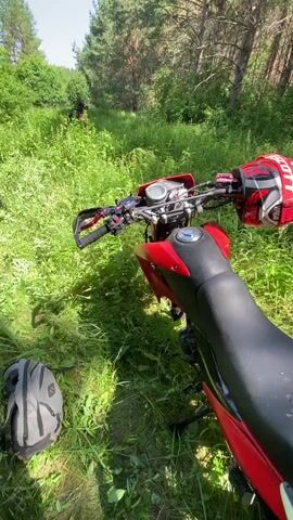 This is a first-person perspective video taken on a sunny day in a wooded area with a stream, likely in Парэцкі сельскі Савет, Belarus. The camera is moving, suggesting the user is walking or riding.

The primary subjects are several dirt bikes parked in a grassy clearing amidst trees. Two red dirt bikes are prominently featured, one closer to the camera and another further back. Other dirt bikes, one with pink accents, are also visible.

There are several people present, dressed in casual outdoor clothing. They appear to be gathered around the motorcycles. In the background, more people can be seen near the motorcycles, and a couple of individuals are standing and talking. The overall atmosphere seems relaxed and recreational.

The setting is a lush, green forest with tall trees and dense undergrowth. A shallow stream or creek runs through the scene, bordered by grass and foliage. The sunlight filtering through the trees indicates it is daytime, likely late morning or afternoon given the brightness and shadows. There is no visible text in the video. The activity appears to be a break during a dirt biking excursion or a gathering of motocross enthusiasts in a natural environment.