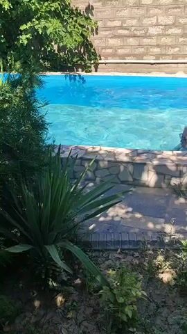 A woman with blonde hair pulled up and wearing sunglasses is in a swimming pool. The pool has bright blue water and is surrounded by a stone border. There are plants and trees visible in the foreground and on the left side of the image. A brick wall with a pipe runs along the back of the pool area. The lighting suggests it is daytime.