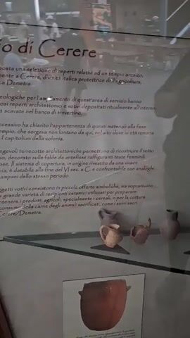 The video shows a display case in a museum, with artifacts and informational panels visible. In the background, blurred figures of people can be seen in what appears to be a larger open space, possibly a cafe or exhibition hall. The display case itself contains various pottery fragments and complete ceramic vessels, along with some illustrations and text. The lighting suggests an indoor environment.
