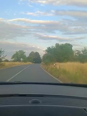 This is a first-person view from a vehicle driving on a paved road. The road has a white line marking the left side and a broken white line to the right. The vehicle is moving forward. The environment is rural, with trees and dry grass on both sides of the road. The sky is blue with scattered white clouds. The lighting suggests it is either early morning or late afternoon. The interior of the vehicle is visible in the foreground, with a textured dashboard. There are no other vehicles or people clearly visible in the video.