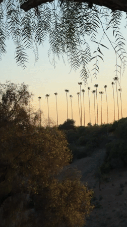 Los Angeles, United States of America