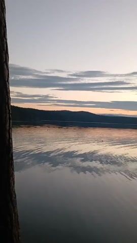 A tree trunk on the left and a wooden post on the right frame a calm lake at dusk. The sky is a gradient of pale blue to pink, with thin, scattered clouds. The water reflects the colors of the sky and the dark silhouette of a distant tree-covered hill. Ripples on the water's surface create shimmering patterns. The overall atmosphere is serene and peaceful.