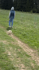 Spring morning dog walks and outdoor activities in Фоки, Russia