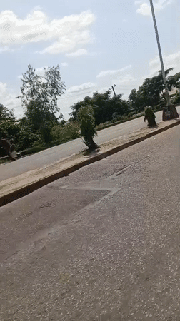 Ordinary street life documented in Jalingo, Nigeria