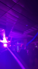 Music event draws crowds in Sofia, social moments captured