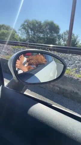 The view from inside a moving car shows the driver’s side mirror reflecting the image of a small brown dog with curly fur leaning out of the window of the car next to it. A person's arm is visible, holding the dog in place. The dog wears a blue collar. Water droplets are visible on the window of the adjacent car. In the background, outside of the cars, are railroad tracks, foliage, and a clear blue sky.