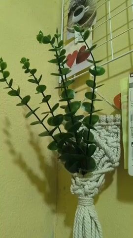 A close-up, steady shot captures a decorative arrangement on a yellow wall. In the foreground, a faux eucalyptus plant with green leaves emerges from a woven macrame holder. The macrame holder is secured with thick, braided white rope that hangs down. Behind the plant and holder, a white wire grid is attached to the wall. Attached to this grid are two small decorative items: an oval picture featuring a coffee cup and a heart shape composed of two red hearts. To the right of the plant, part of a magazine or thick paper is visible, also attached to the grid. The lighting casts a soft shadow of the eucalyptus plant onto the wall.