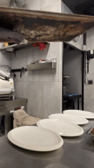 Chef prepares food in Budva kitchen amid overcast Montenegro morning