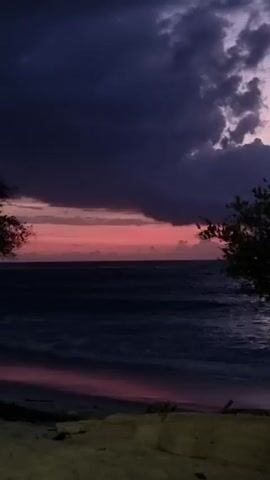 The video shows a beach scene at dusk. Dark, ominous clouds dominate the sky, with a strip of pink and purple visible above the horizon. The ocean is a deep blue with gentle waves coming to shore. A silhouetted tree is visible on the right, partially obscuring the view. The sandy beach is in the foreground, with what appears to be a concrete wall at the bottom of the frame. Indistinct chatter can be heard.