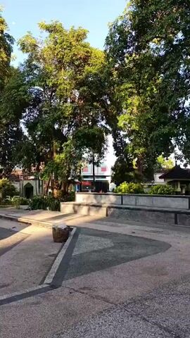 The video depicts a public park area during daylight hours. The park is characterized by a network of concrete pathways, large shade trees with green foliage, and several elevated, tiered platforms constructed from stone-like material. A central platform holds a modern sculpture depicting two nude figures intertwined. A single bird is perched atop the sculpture. The background reveals buildings and street signs, suggesting an urban environment.