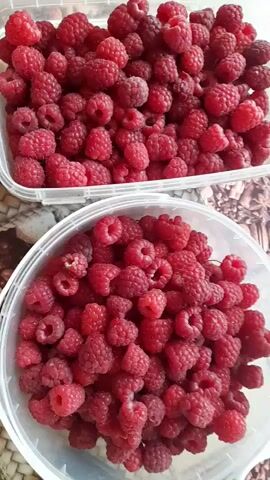The video shows two containers filled with raspberries. The containers are transparent and appear to be made of plastic. The raspberries are a vibrant red color and are closely packed together. The video is shot from a slightly elevated angle, looking down at the containers. The lighting is bright and appears to be natural. The background is blurred but seems to be a patterned surface. There are no people or actions visible in the video.