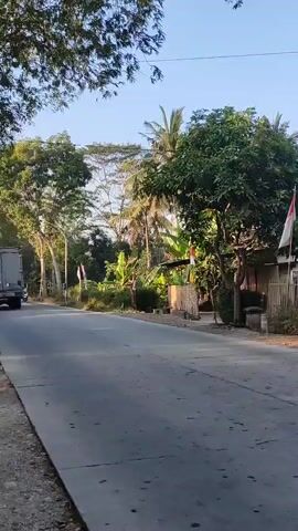 A truck is driving down a paved road. A motorcycle is following behind the truck. Another motorcycle is driving toward the camera. A person is on the motorcycle. Trees are on both sides of the road. The sky is clear.