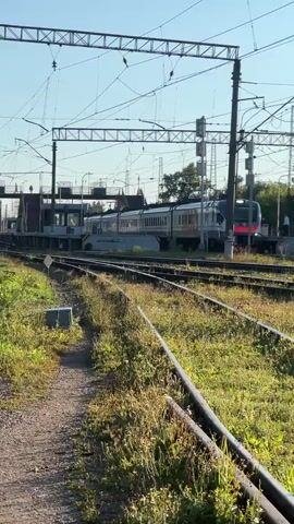 A train approaches a station. The train is white with a red stripe and is pulled by an electric locomotive. The train is on the right side of the image. In the foreground, there are railroad tracks that are overgrown with grass. There are also power lines overhead. The sky is blue and clear.