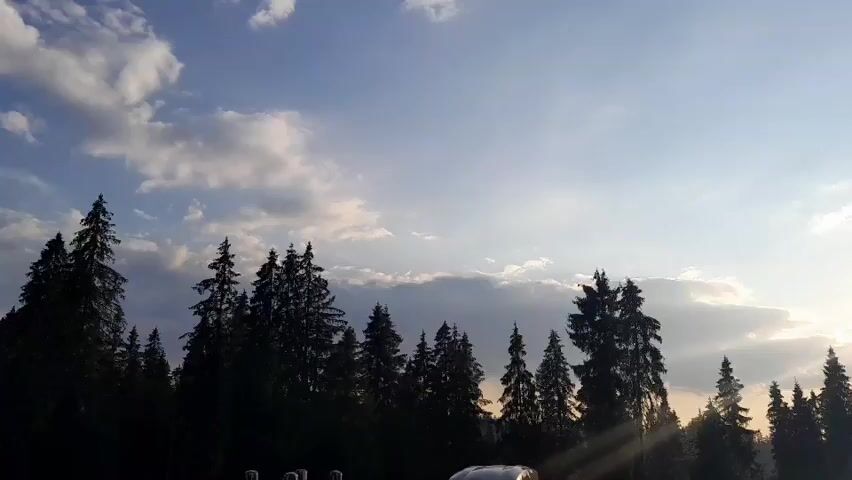 The video shows a silhouetted evergreen forest against a sky with scattered clouds. The sun is setting or rising, casting rays of light through the clouds and behind the trees. The overall impression is one of a natural landscape at either dawn or dusk. No people or specific objects are clearly visible.