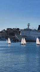 Small sailboats practice in sunny Dénia harbor waters