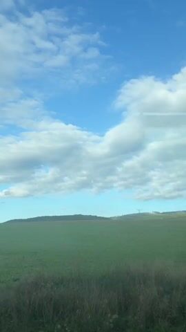The video shows a view from a moving vehicle, looking out at trees and a cloudy blue sky. The trees are green and leafy, and some of them appear to be tall. The ground is covered in grass and some bushes. The sky is blue with white clouds. The vehicle appears to be moving at a moderate speed, as the trees are blurred in the background.