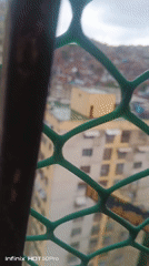 Witness documents Caracas barrios under overcast skies June evening