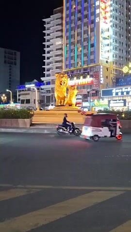 This is a nighttime video clip of a street scene in Sihanoukville, Cambodia. The camera is positioned at a street level, capturing traffic and a prominent landmark.

The primary subject is a large, golden statue of two lions, one larger than the other, positioned on a raised platform. Behind the statue, a tall, modern building is illuminated with colorful lights, primarily blue, pink, and green. The building has many windows and appears to be a hotel or office building, with visible signage in what appears to be an Asian script. One sign, in red lettering, is particularly prominent. Another sign for "AIVORA" is also visible.

The scene is a busy urban intersection at night, indicated by the artificial lighting and the presence of vehicles. Traffic includes a motorcycle with a rider, a white minivan, and a small, three-wheeled vehicle resembling a tuk-tuk. The road surface is asphalt, with visible pedestrian crossings. The overall impression is one of an active city at night, with modern infrastructure and a notable cultural or decorative monument. There are no clear indications of weather conditions, but the darkness suggests it is after sunset. The presence of the traffic and the illuminated buildings conveys a sense of urban vibrancy.