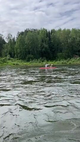 Two people and a dog are on a red paddleboard in a wide river. The river has choppy water and is surrounded by a lush green forest and a cloudy sky. One person is sitting on the paddleboard and appears to be raising an arm. The other person is also sitting on the paddleboard. The dog is sitting in front of the person who is raising an arm.