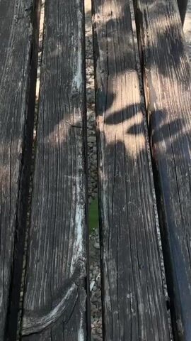 This is a close-up, overhead shot of a weathered wooden bench. The bench is made of several rough, dark wooden planks with visible grain and cracks. There is a gap between the planks, revealing small grey stones and a hint of green vegetation underneath. The sun casts dappled shadows across the bench, suggesting it is outdoors in a park or natural setting, possibly during the daytime. The wood appears old and worn, hinting at a rustic or perhaps neglected ambiance. There is no visible text in the image.
