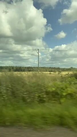 The video shows a blurry landscape from a moving vehicle. The scene is dominated by tall green grass in the foreground, which is blurred due to motion. In the mid-ground, there is a field of yellow and green, possibly crops or hay bales, with a line of trees in the distance. The sky is blue with scattered white clouds. A utility pole with wires is visible on the right side of the frame, and trees are visible on the far right. The overall impression is of a rural landscape seen from a fast-moving car or train.