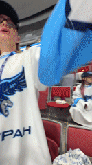 Hockey fans cheer during game in Sirius, Russia