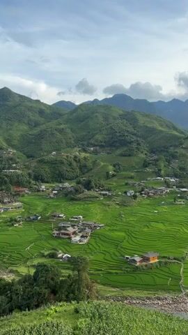 The video shows a vast expanse of bright green terraced rice fields nestled within a lush valley. Rolling, verdant mountains form the backdrop, with a slightly hazy sky and scattered clouds above. A small village with scattered houses and buildings is visible within the valley, interspersed among the rice paddies. A winding river or stream cuts through the landscape. In the foreground, the edge of a different green crop, possibly corn, is visible. The camera slowly pans across the scene from left to right, capturing the scale and beauty of the rural landscape. There are no people or animals directly visible in the footage.