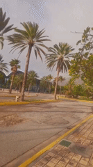 Evening documentation of tropical landscapes in Pedro González, Venezuela