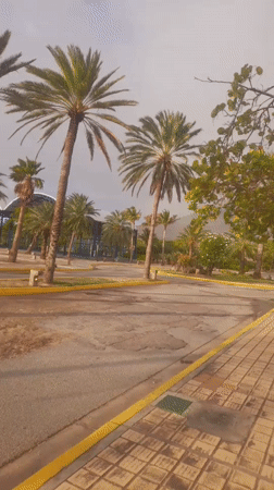 Evening documentation of tropical landscapes in Pedro González, Venezuela