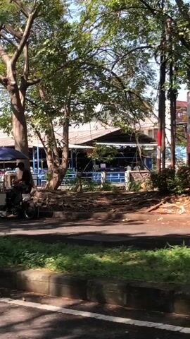 This media file captures an outdoor scene likely in Siwalan Panji, Indonesia, during the daytime. The weather appears sunny with dappled light filtering through the abundant trees.

The primary subjects are a person and a motorcycle. The person, dressed in dark clothing, is standing near a motorcycle that has been adapted to carry a food or drink vending cart. This cart appears to have a clear container and a blue umbrella providing shade. The motorcycle is parked on what looks like a dirt or gravel area bordering a paved surface, possibly a road or pathway.

In the background, there are several structures with blue accents and corrugated metal roofs, suggesting a commercial or utilitarian area. Some tables and chairs are visible outside these buildings, hinting at an outdoor seating or service area. Another person is partially visible near one of the buildings. A bright orange cone is placed on the ground in the foreground, and lush green grass lines the edge of the paved surface. The overall impression is that of a bustling street scene with a mobile vendor preparing to serve customers or in the midst of their work. The presence of trees and greenery suggests a tropical or subtropical environment.