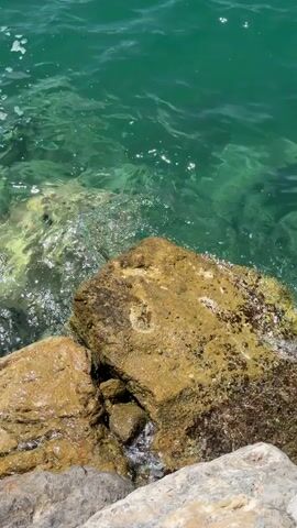 The video shows a close-up view of rocks at the edge of clear, green water. The rocks are wet and appear to be part of a shoreline or breakwater. The water is slightly choppy, with small waves lapping against the rocks. Sunlight is visible on the water's surface, creating reflections and illuminating the submerged rocks. There are no people or animals visible in the video. The overall scene is peaceful and natural.
